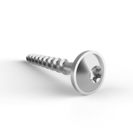 Schletter Schrauben 8x80 VA Tellerkopf Torx Holz