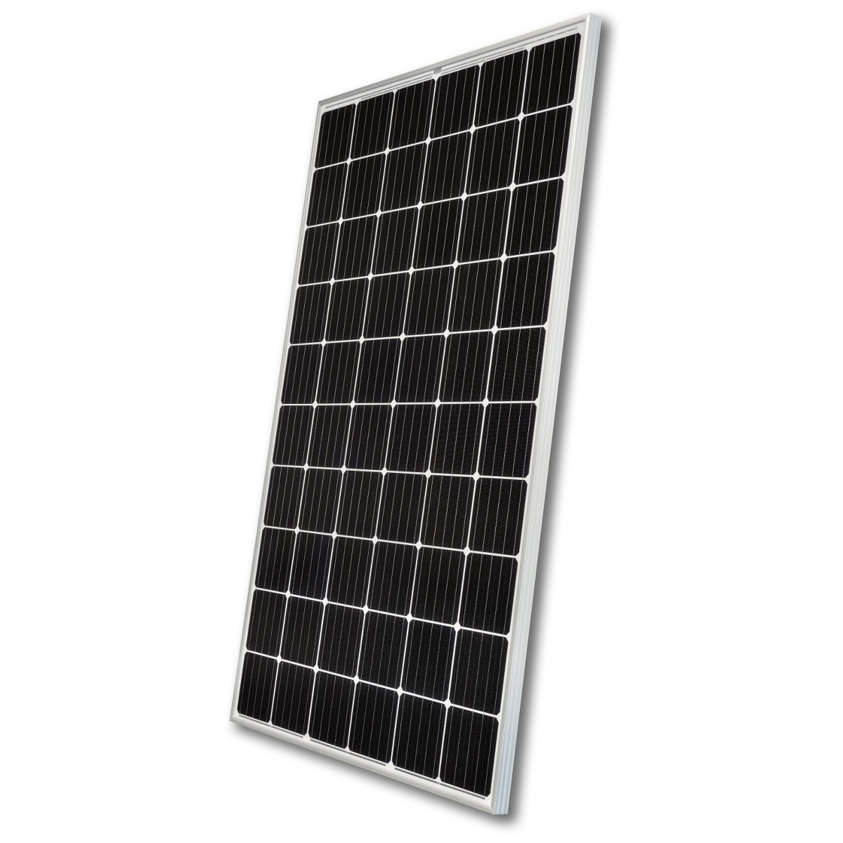 Heckert NeMo® 2.0 60 M 310 Watt (5BB)