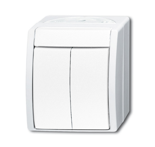 Busch Jaeger Serienschalter 2601/5 W-54 ocean (IP 44) alpinweiß