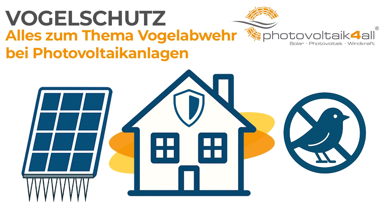 Solarblog über Vogelschutz, abgebildet wird ein Einfamilienhaus mit Solarmodulen, welches durch ein Vogelabwehrsystem geschützt wird