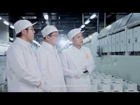 SolaX Energy Meter DTSU666-D